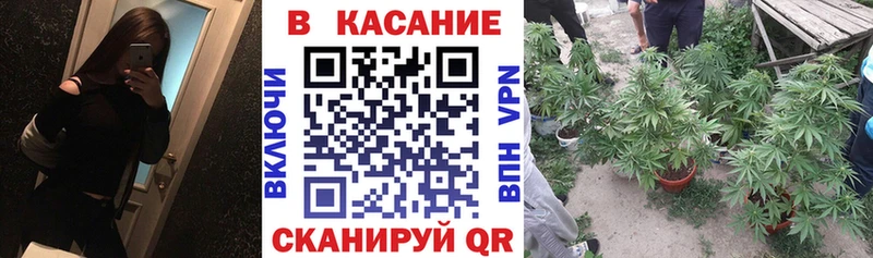 Наркошоп купить Бошки Шишки  Alpha-PVP  КОКАИН  ГАШИШ  МЕФ  Чехов