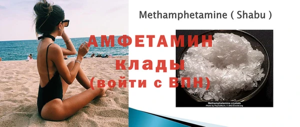 прущие грибы Няндома