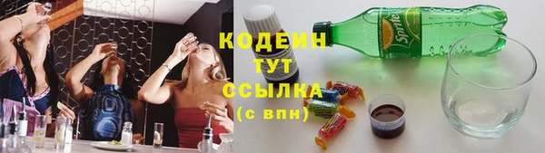 прущие грибы Няндома