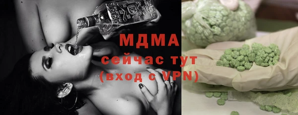прущие грибы Няндома