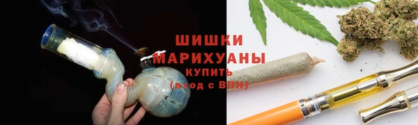 прущие грибы Няндома