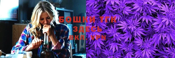 прущие грибы Няндома