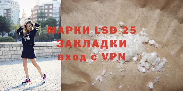 прущие грибы Няндома