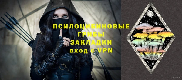 прущие грибы Няндома