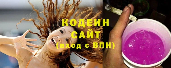 прущие грибы Няндома