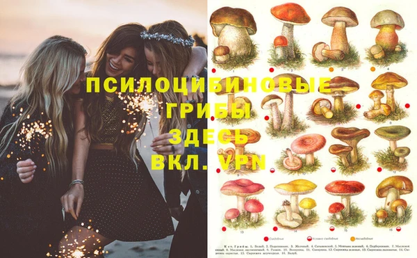 мяу мяу кристалл Нязепетровск