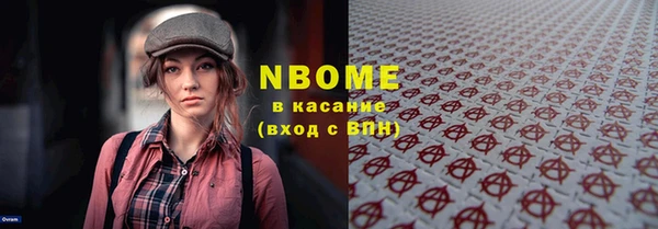 прущие грибы Няндома