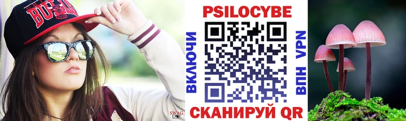 Галлюциногенные грибы Psilocybe  Купить где  Чехов 